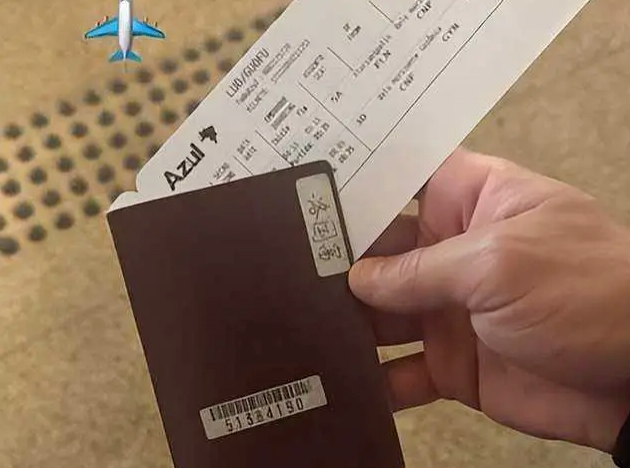 pg电子-洛国富乘机晒中国护照，乘客姓名luoguofu彰显中国身份